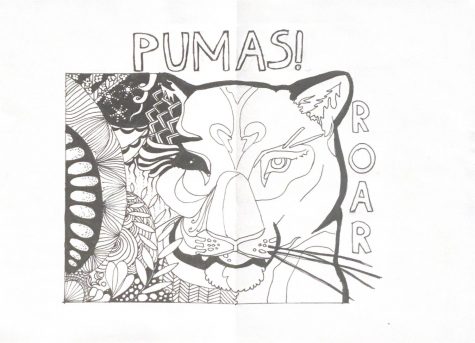 PCS Puma