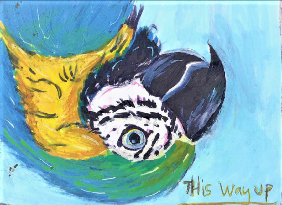 “This Way Up,” Alexandria Meyers, 8th grade