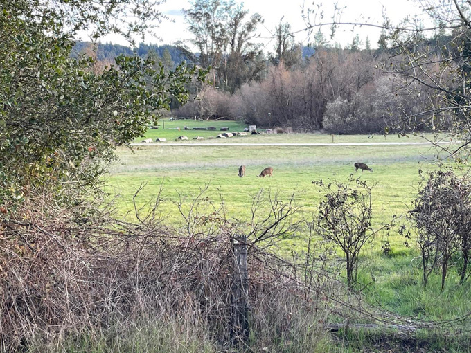 Take A Hike: Quail Hollow Ranch