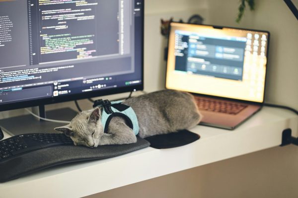 Satire: Students’ Favorite Napping Spots at PCS